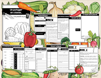 Fiches du projet Un potager dans la classe