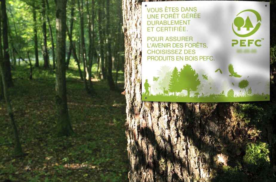 papier issu de forêt durable