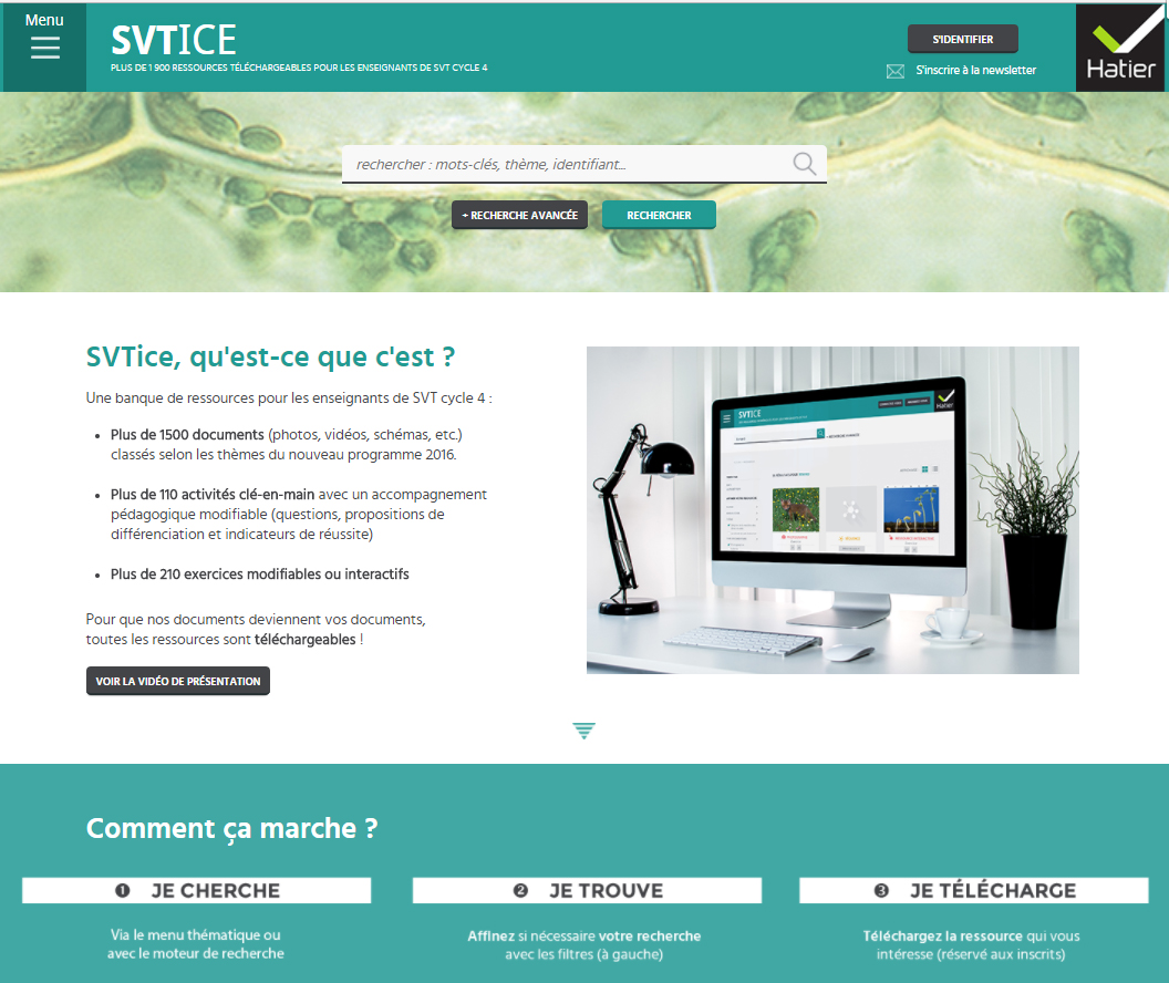 SVTice