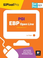 PGI EBP openline 2de/1re/Tle Bac Pro